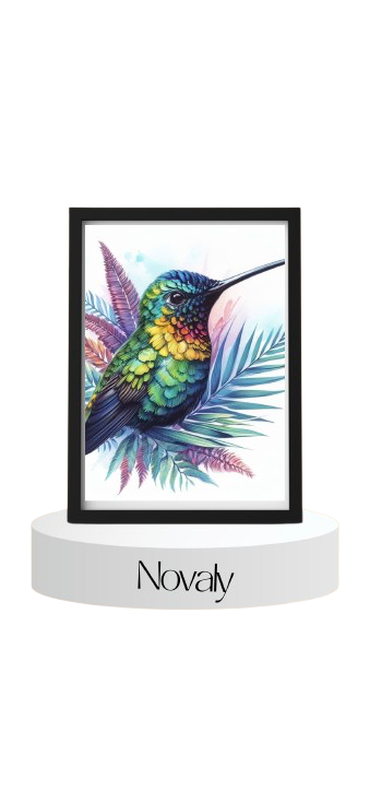 Novaly